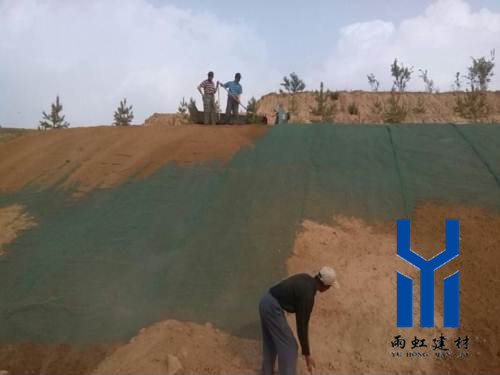 三維植被網(wǎng)http://www.qd-beihai.com/