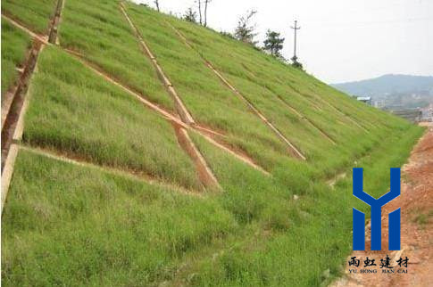 三維植被網(wǎng)http://www.qd-beihai.com/